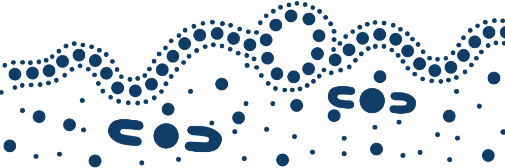 Western NSW Primary Health Network, Western NSW Primary Health Network