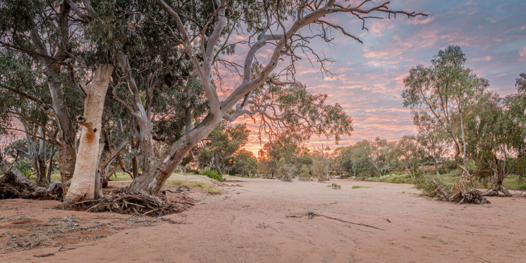 , Western NSW Primary Health Network