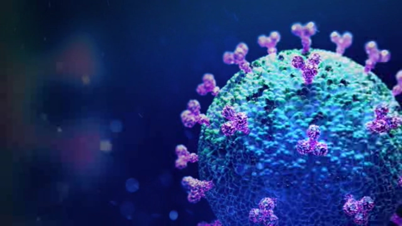 , Western NSW Primary Health Network