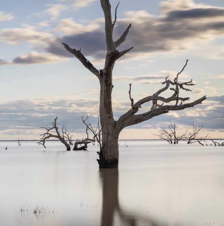 , Western NSW Primary Health Network