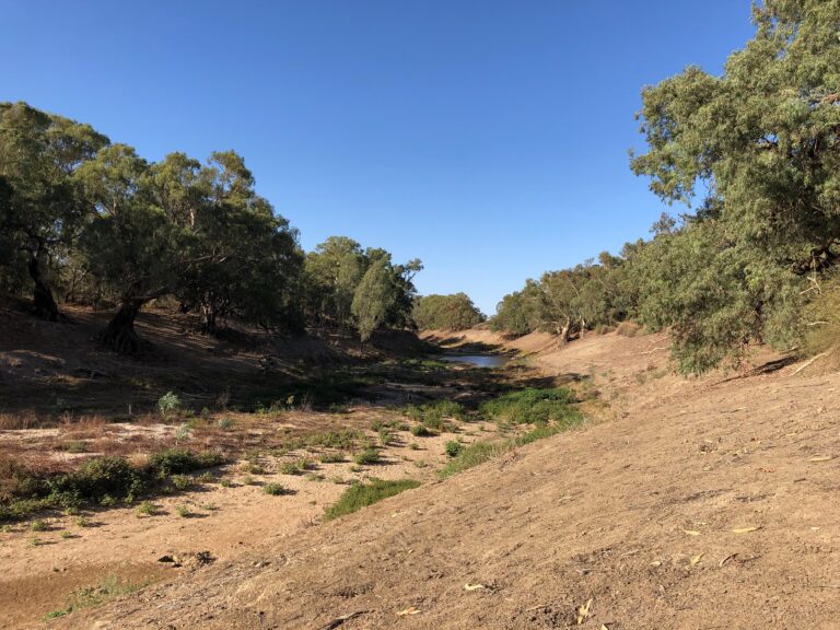 , Western NSW Primary Health Network