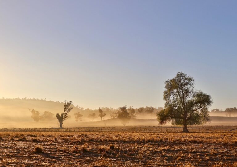 , Western NSW Primary Health Network