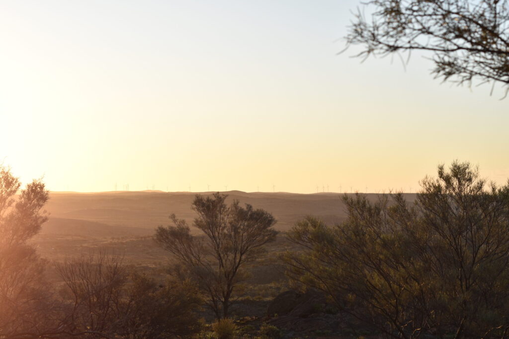 , Western NSW Primary Health Network