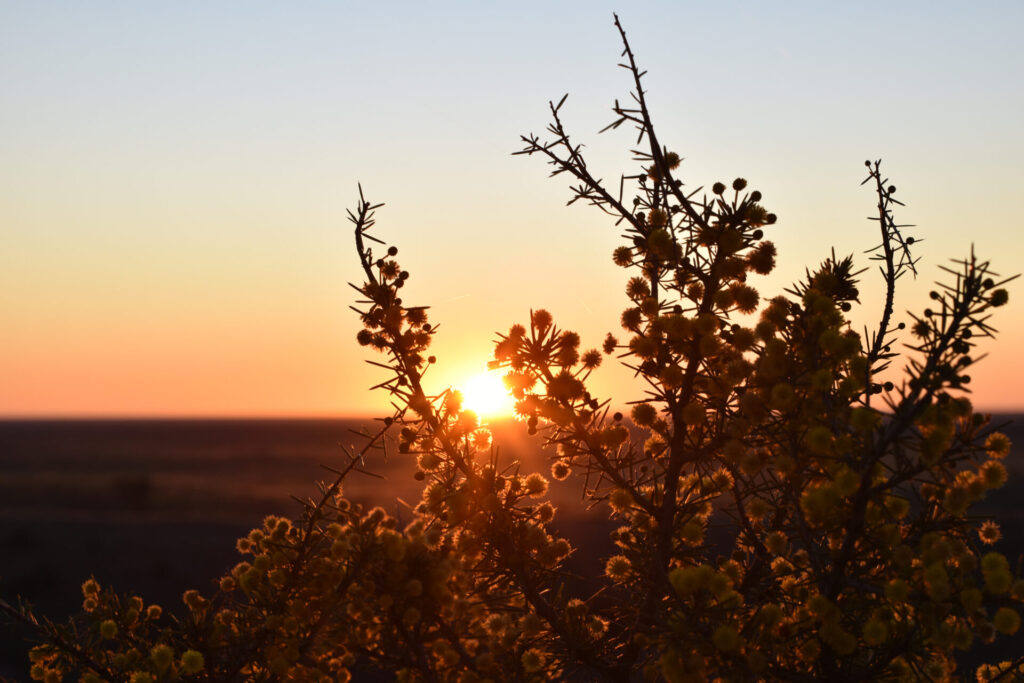 Health education resources, Western NSW Primary Health Network