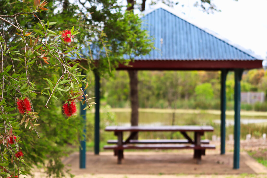 , Western NSW Primary Health Network
